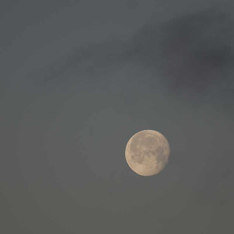 I hadn't seen the moon in a while, what with the nights being as overcast as the days, and all.