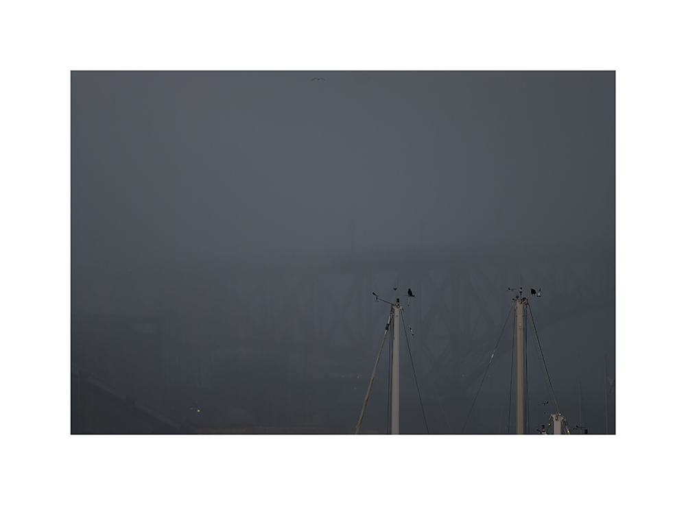 Crows perched on convenient sailboats